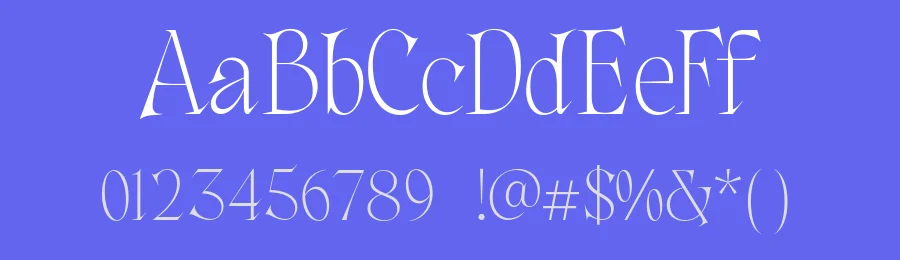 The Consta Font Family by identitype.co — Display Font — thumbnail 3