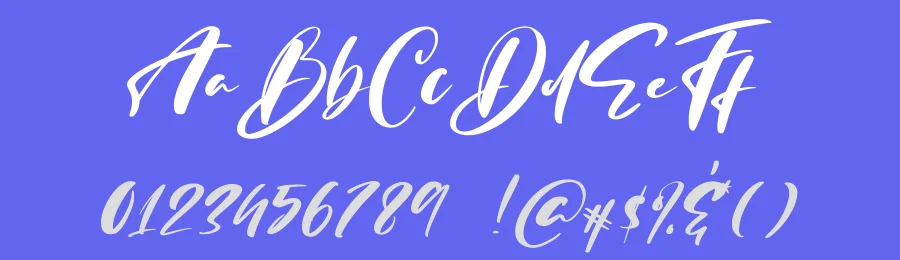 The Customs Script Font by Abo Daniel — Script Handwritten Font — thumbnail 3