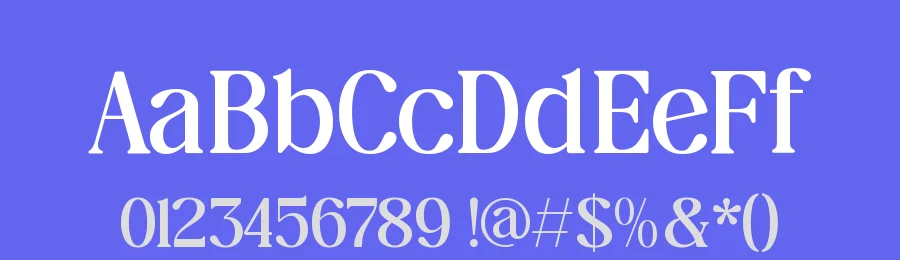 The Daily Midtones Decorative Serif Font by Amorfa Type — Decorative Font — thumbnail 3