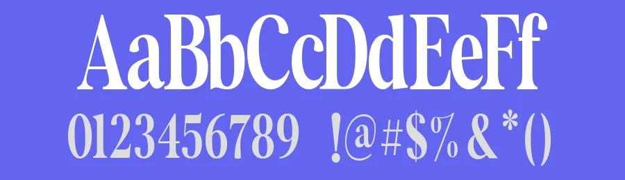 The Documentary Font by Gloriatype — Serif Font — thumbnail 3