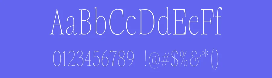 The Fionas Font Family by Nasir Udin — Display Font — thumbnail 3