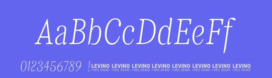 The Levino Font Family by Punch — Serif Font — thumbnail 3
