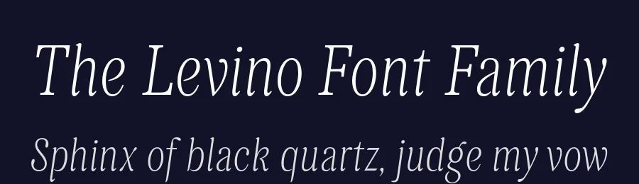 The Levino Font Family by Punch — Serif Font — thumbnail 2