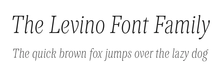 The Levino Font Family by Punch — Serif Font