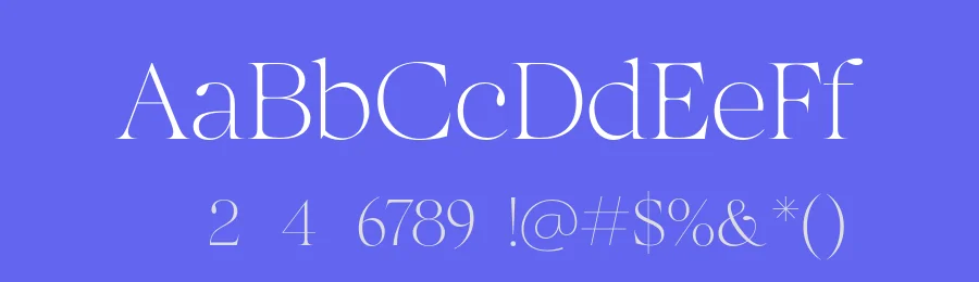 The More Crowd Serif Font by saffatin.co — Serif Font — thumbnail 3