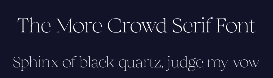 The More Crowd Serif Font by saffatin.co — Serif Font — thumbnail 2