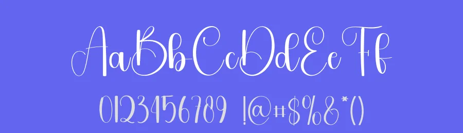 The Party – Handwritten Script Font by freshtypeink — Script Handwritten Font — thumbnail 3