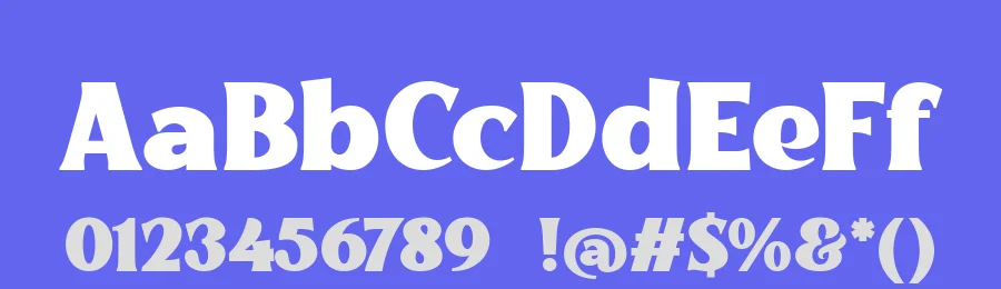 The qoestter Font by alit design — Serif Font — thumbnail 3