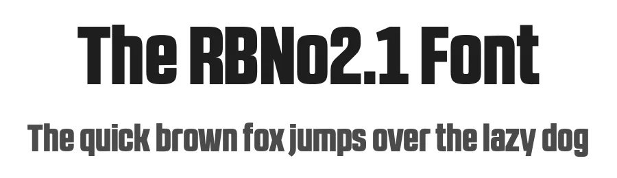 The RBNo2.1 Font by Rene Bieder — Sans Serif Font