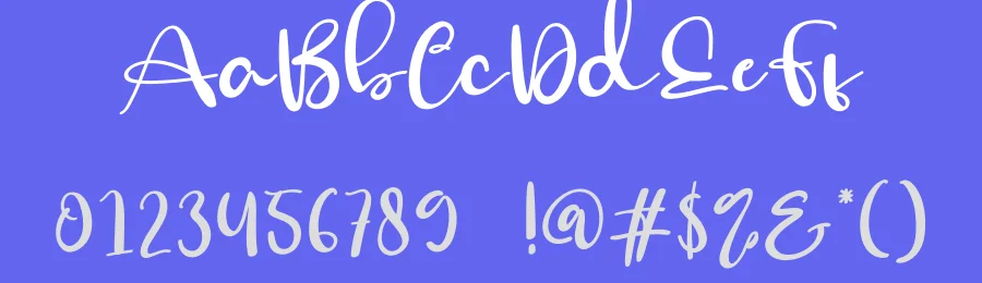 The Signature Script Font by creativeletter — Script Handwritten Font — thumbnail 3