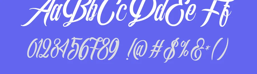 The Southamton Typeface by WNPRHCO — Script Handwritten Font — thumbnail 3