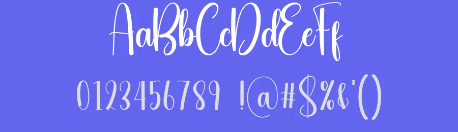 The Sunlight Script Font by creativeletter — Script Handwritten Font — thumbnail 3
