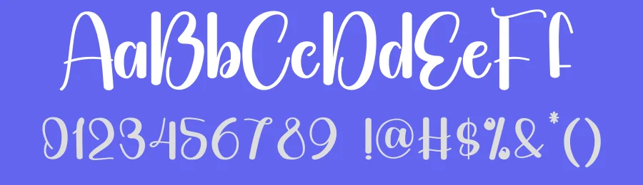 The Sunset Modern Script Font by creativeletter — Script Handwritten Font — thumbnail 3