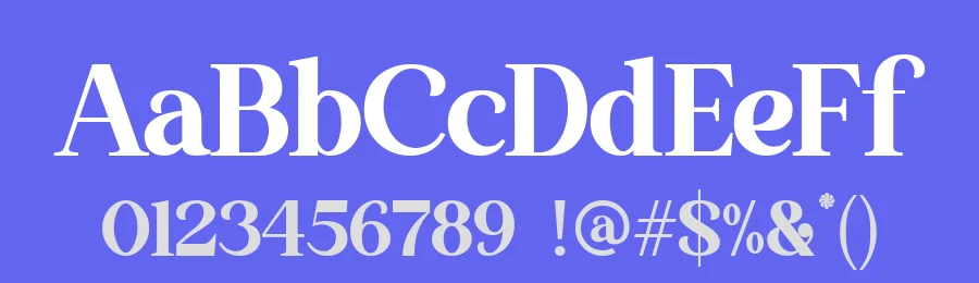 The Thesla Ohago Serif Font by letterenastudios — Serif Font — thumbnail 3