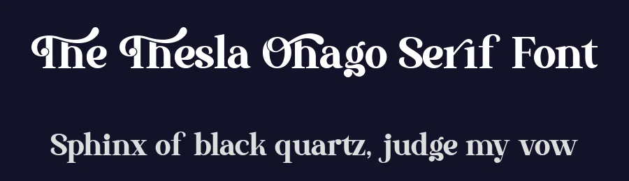 The Thesla Ohago Serif Font by letterenastudios — Serif Font — thumbnail 2