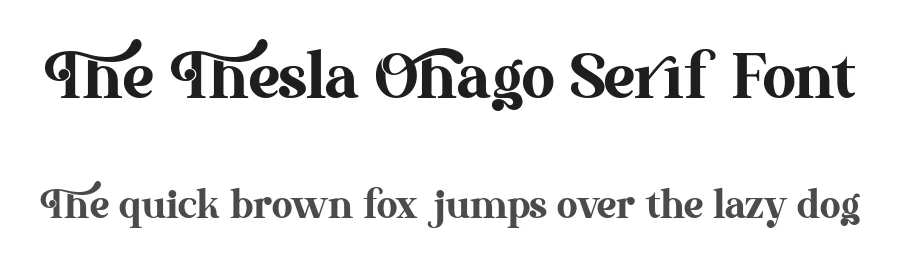 The Thesla Ohago Serif Font by letterenastudios — Serif Font
