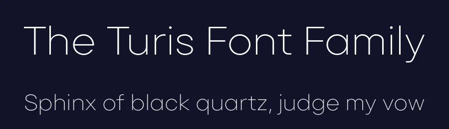 The Turis Font Family by Punchform — Sans Serif Font — thumbnail 2