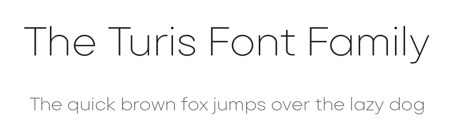 The Turis Font Family by Punchform β Sans Serif Font