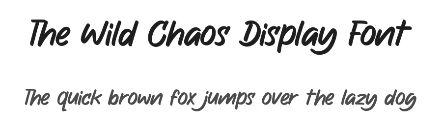 The Wild Chaos Display Font by Allouse.Studio — Display Font