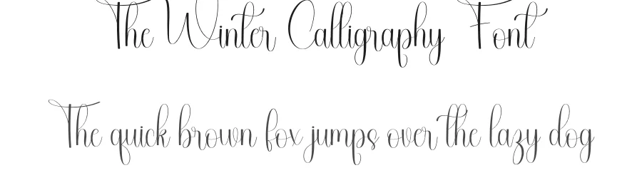 The Winter Calligraphy Font by freshtypeink — Script Handwritten Font