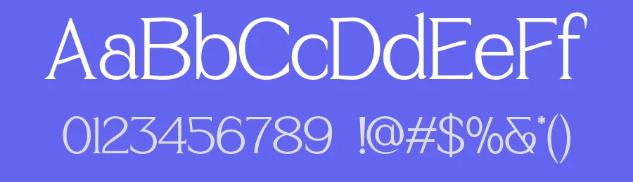Thelion Font by roomspace.cl — Serif Font — thumbnail 3