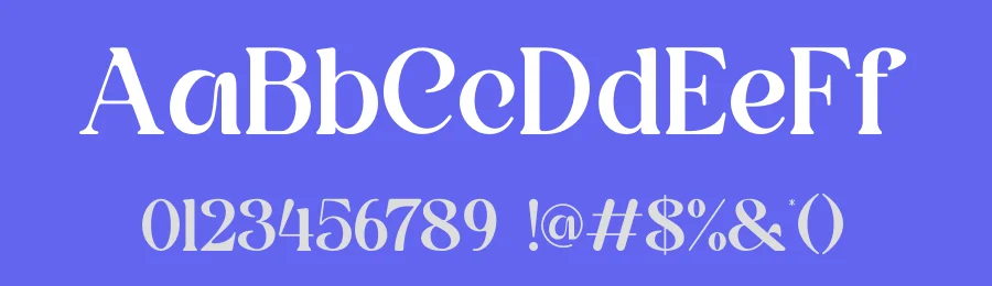 Thency Serif Font by ErmediaStudio — Serif Font — thumbnail 3
