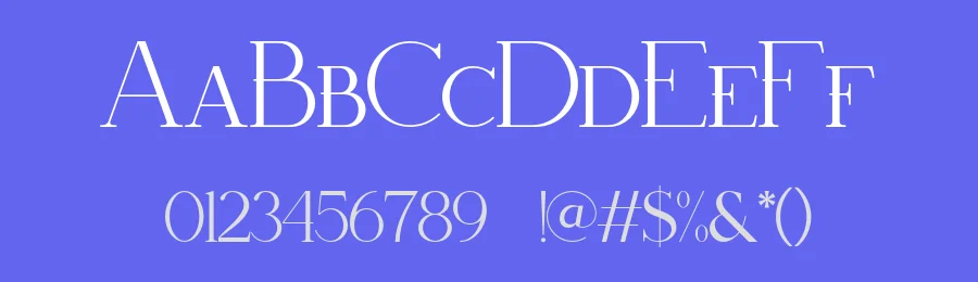 Thezon Font by ErmediaStudio — Serif Font — thumbnail 3