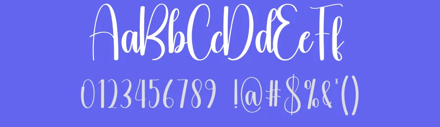 Thick Blanket Script Font by creativeletter — Script Handwritten Font — thumbnail 3
