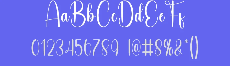 Thick Ornament – Elegant Handwritten Font by andikastudio — Script Handwritten Font — thumbnail 3