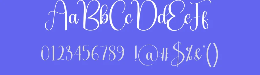 Thicker Script Font by andikastudio — Script Handwritten Font — thumbnail 3