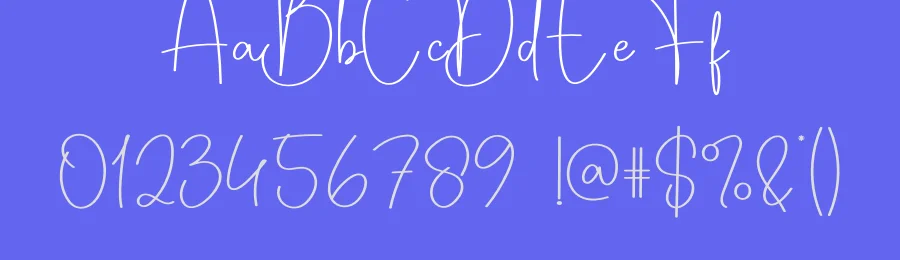 Thickfog Script Font by creativeletter — Script Handwritten Font — thumbnail 3
