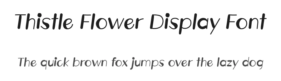 Thistle Flower Display Font by andikastudio — Script Handwritten Font
