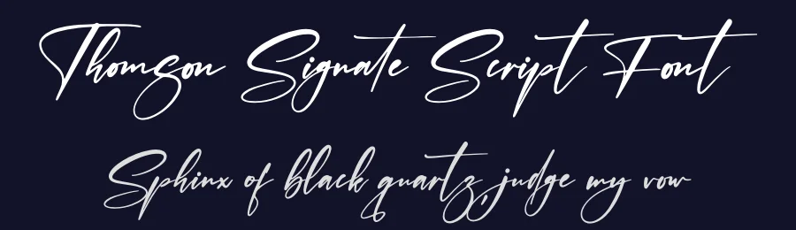 Thomson Signate Script Font by afterpaper — Script Handwritten Font — thumbnail 2