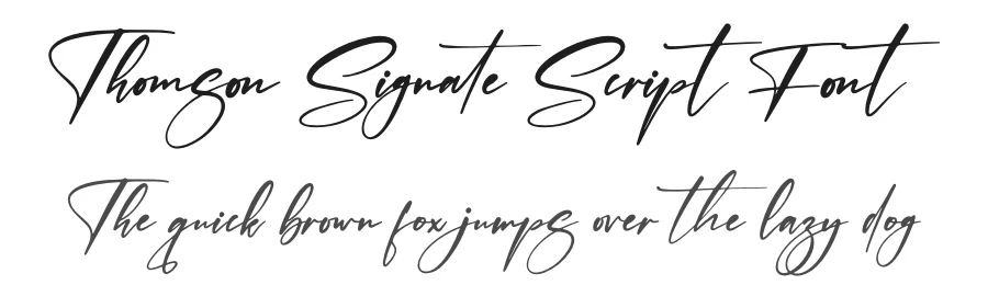 Thomson Signate Script Font by afterpaper — Script Handwritten Font