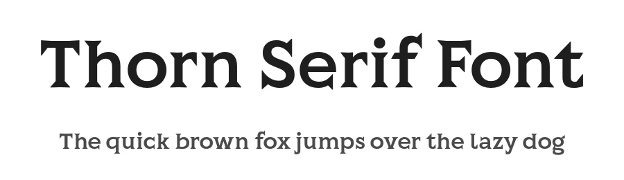Thorn Serif Font by partalev — Display Font