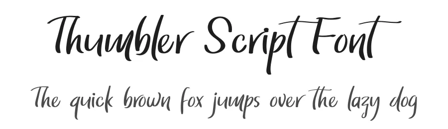 Thumbler Script Font by twinletter — Script Handwritten Font