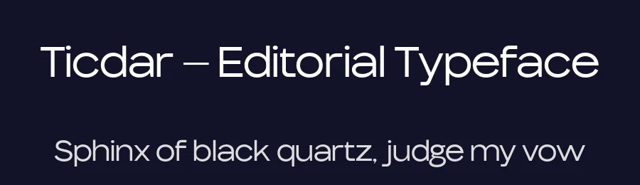 Ticdar – Editorial Typeface by Casloop Studio — Decorative Font — thumbnail 2