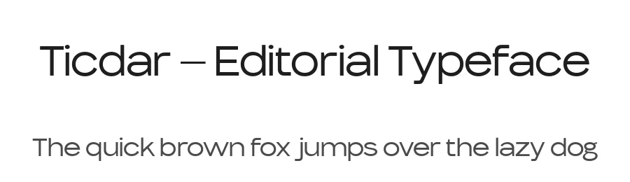 Ticdar – Editorial Typeface by Casloop Studio — Decorative Font