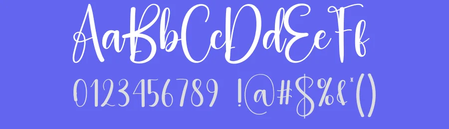 Tidelines Script Font by creativeletter — Script Handwritten Font — thumbnail 3
