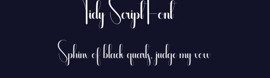 Tidy Script Font by andikastudio — Script Handwritten Font — thumbnail 2