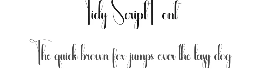 Tidy Script Font by andikastudio — Script Handwritten Font