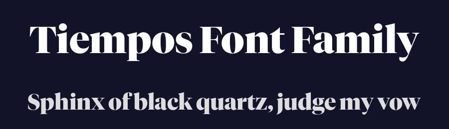 Tiempos Font Family by Klim Type Foundry — Serif Font — thumbnail 2