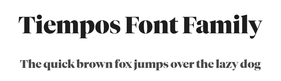 Tiempos Font Family by Klim Type Foundry — Serif Font