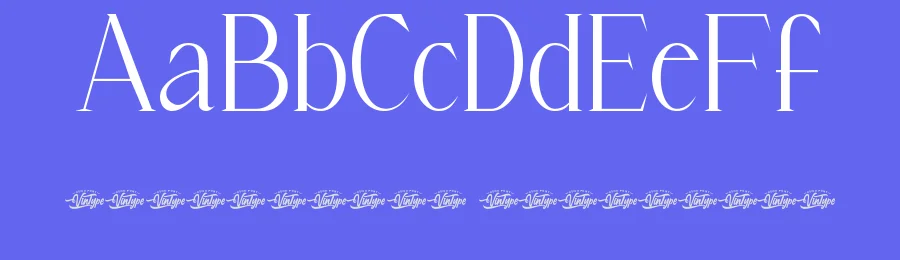 Tifrany Bracia Font by VinType — Sans Serif Font — thumbnail 3