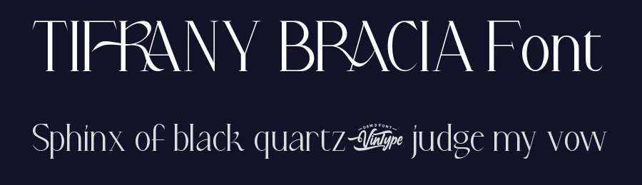 Tifrany Bracia Font by VinType — Sans Serif Font — thumbnail 2