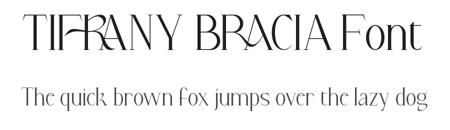 Tifrany Bracia Font by VinType β Sans Serif Font
