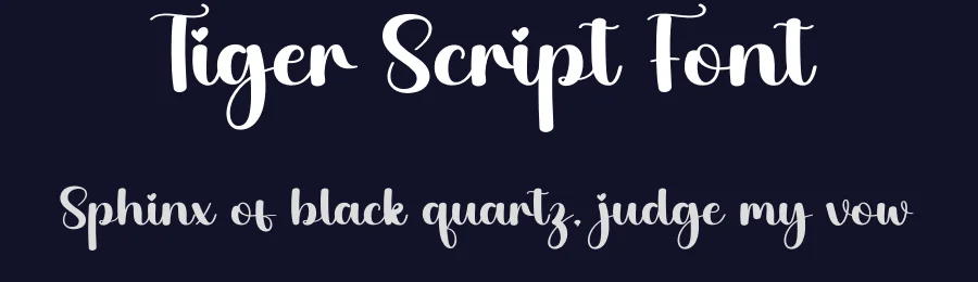 Tiger Script Font by creativeletter — Script Handwritten Font — thumbnail 2