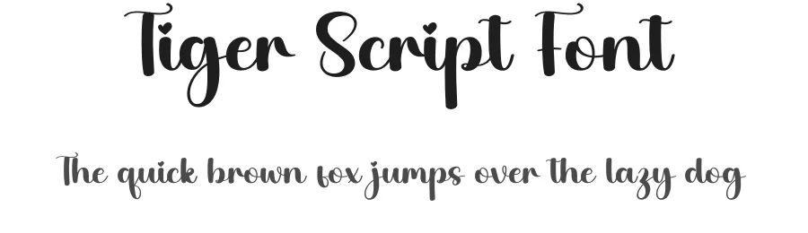 Tiger Script Font by creativeletter — Script Handwritten Font
