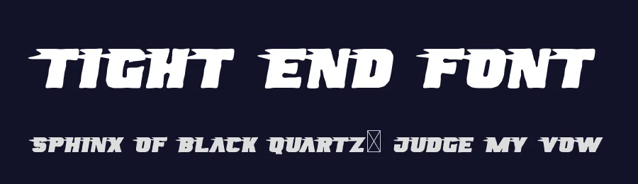 Tight End Font by noahtype — Decorative Font — thumbnail 2
