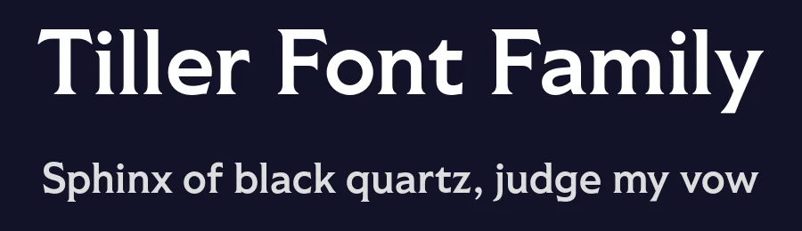 Tiller Font Family by Fort Foundry — Serif Font — thumbnail 2